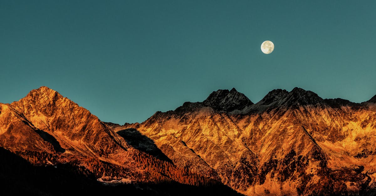 découvrez le monde fascinant du backcountry : aventure, exploration et nature sauvage. partez à la découverte de paysages inexplorés, de sentiers hors des sentiers battus et vivez des expériences uniques en pleine nature. préparez votre prochaine escapade en backcountry dès aujourd'hui !
