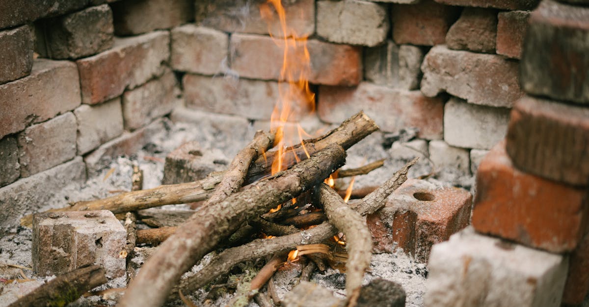 découvrez les indispensables du camping pour une expérience inoubliable en pleine nature. préparez-vous avec notre guide complet sur les équipements essentiels, les astuces pratiques et les conseils pour profiter pleinement de votre aventure en plein air.