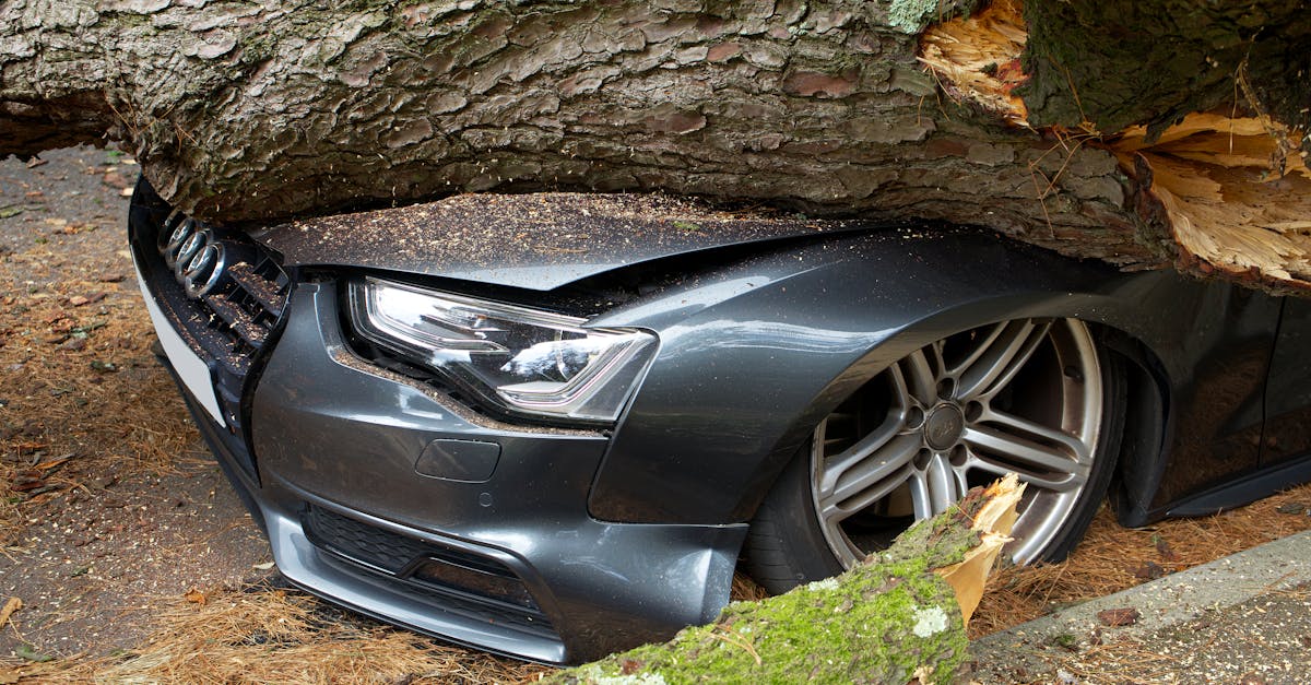 découvrez les implications et les enjeux des collisions, qu'elles soient automobiles, aériennes ou dans d'autres contextes. informez-vous sur la sécurité, la prévention des accidents et les conséquences légales des collisions.
