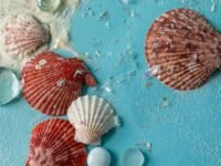 Découvrez la première collection estivale de Krooked, disponible dès maintenant en magasin découvrez la collection estivale krooked, alliant style, confort et créativité. plongez dans des designs uniques inspirés par la culture du skate, parfaits pour exprimer votre personnalité cet été.