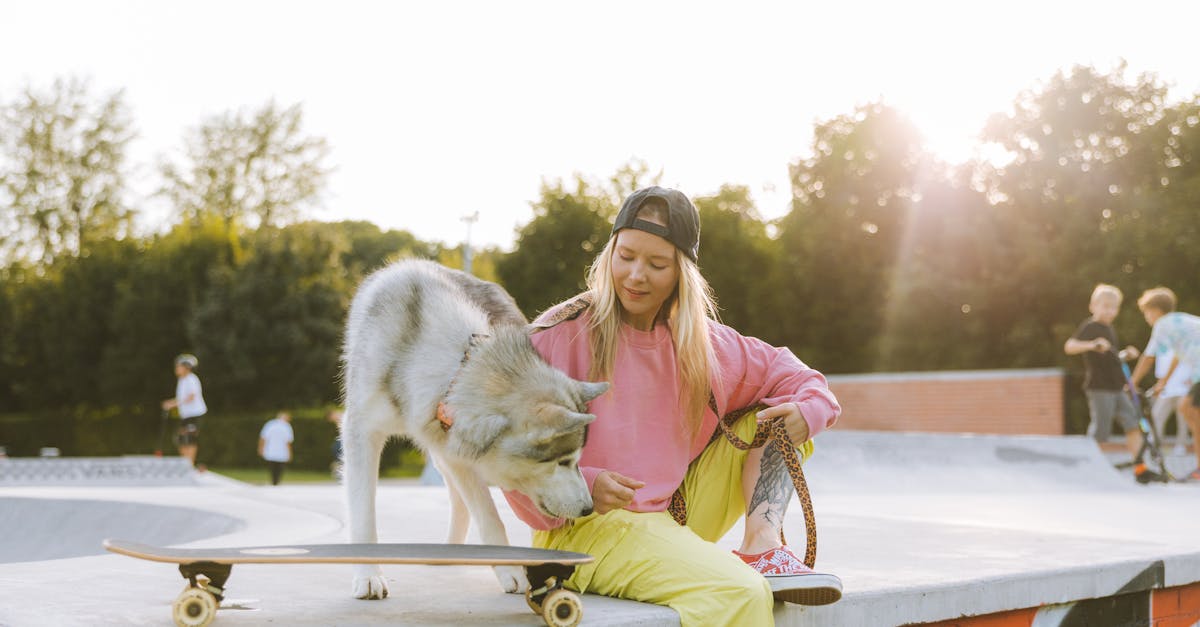 découvrez notre skatepark, un lieu idéal pour les passionnés de glisse ! que vous soyez débutant ou expert, profitez de rampes, de bowls et d'espaces dédiés pour parfaire vos figures. rejoignez une communauté dynamique et vibrante, partagez votre passion et éclatez-vous en toute sécurité dans un environnement conçu pour le skate !
