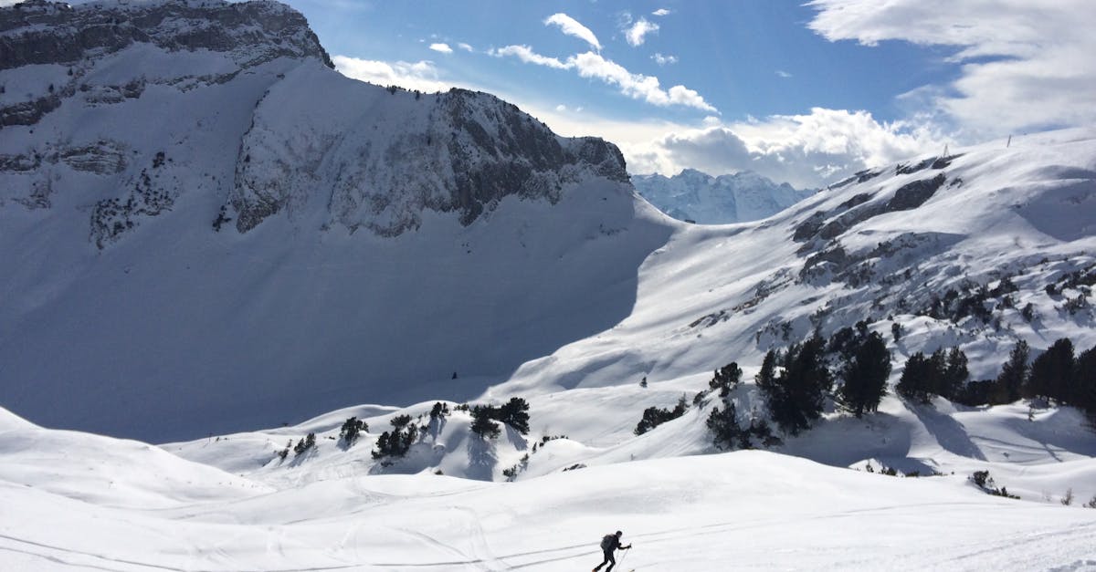 découvrez l'univers du ski de randonnée avec nos conseils, itinéraires et astuces pour profiter pleinement des montagnes, alliant aventure, sensations fortes et respect de l'environnement.