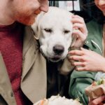 découvrez l'univers du snacking : des idées gourmandes et saines pour combler vos petites faims à toute heure de la journée. recettes rapides, conseils pratiques et tendances pour savourer chaque moment!