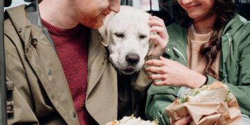 découvrez l'univers du snacking : des idées gourmandes et saines pour combler vos petites faims à toute heure de la journée. recettes rapides, conseils pratiques et tendances pour savourer chaque moment!