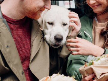 découvrez l'univers du snacking : des idées gourmandes et saines pour combler vos petites faims à toute heure de la journée. recettes rapides, conseils pratiques et tendances pour savourer chaque moment!