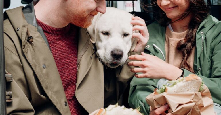 découvrez l'univers du snacking : des idées gourmandes et saines pour combler vos petites faims à toute heure de la journée. recettes rapides, conseils pratiques et tendances pour savourer chaque moment!