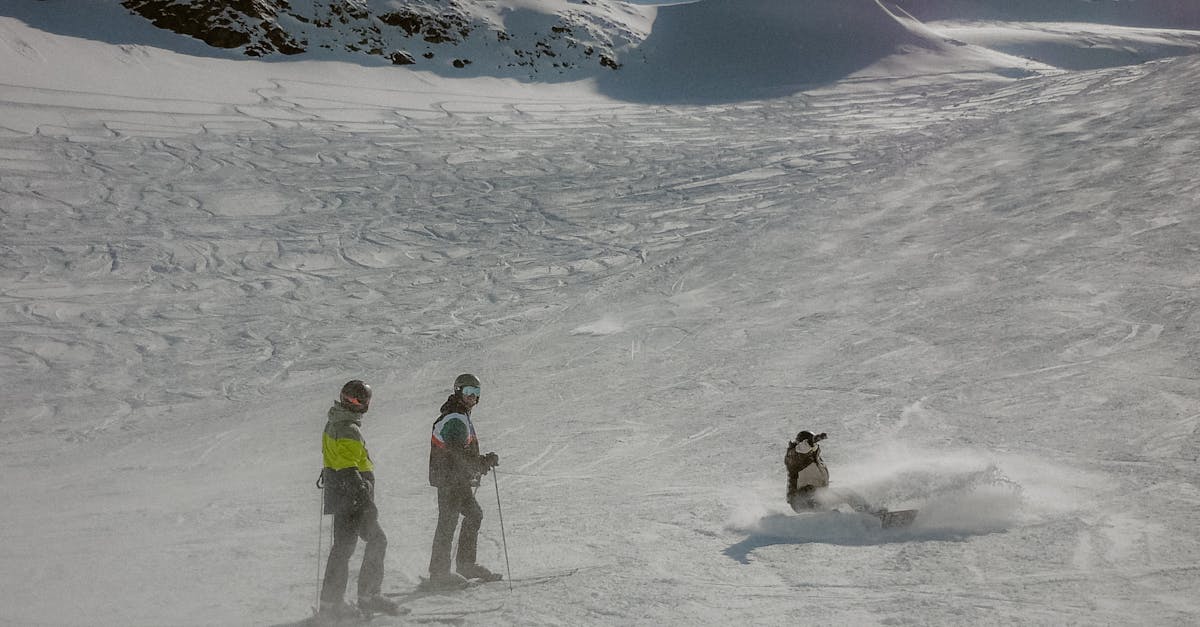 découvrez notre snowpark, un espace dédié aux passionnés de glisse, où vous pouvez profiter de nombreuses installations pour le snowboard et le ski. dévalez des pistes créatives, réalisez des figures épatantes et partagez des moments inoubliables entre amis. que vous soyez débutant ou expert, notre snowpark offre des défis adaptés à tous les niveaux!