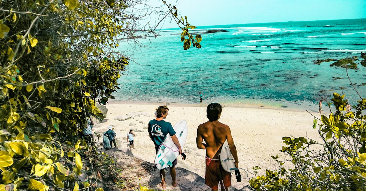 découvrez l'univers palpitant du surf : conseils, techniques, meilleures destinations et équipements pour profiter pleinement des vagues. que vous soyez débutant ou surfeur confirmé, trouvez ici tout ce qu'il vous faut pour maîtriser l'art de glisser sur l'eau!