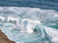 découvrez l'univers captivant des 'surf legends', une plongée dans l'histoire des icônes du surf qui ont façonné ce sport. explorez leurs exploits, leur passion pour les vagues et l'impact qu'ils ont eu sur la culture surf à travers les décennies.
