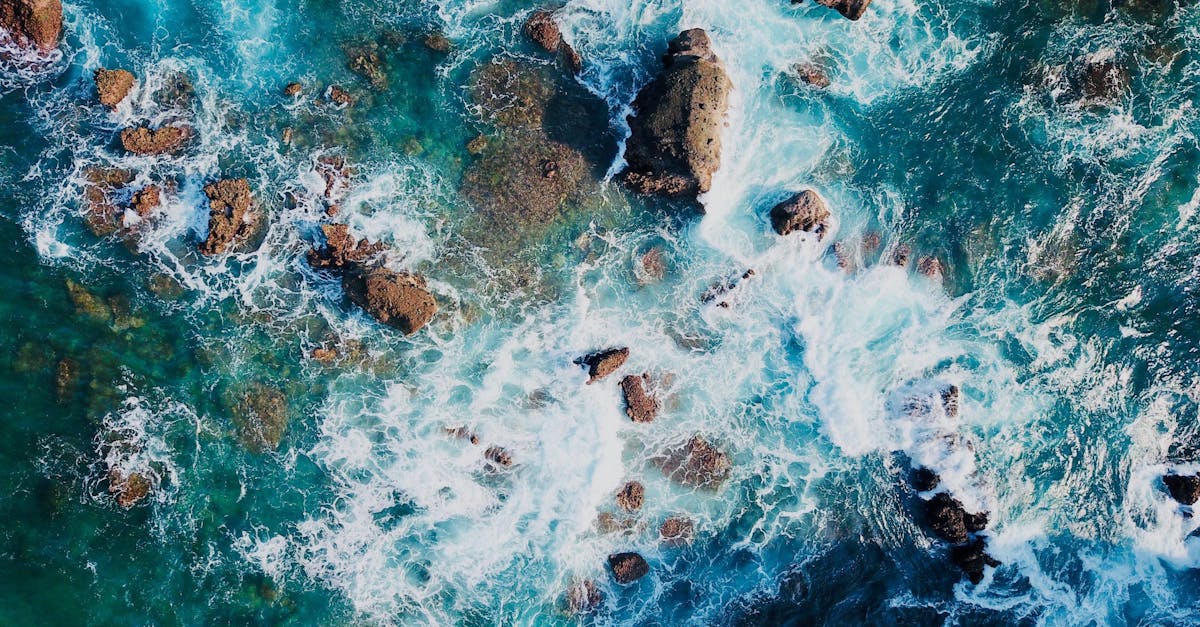 découvrez les légendes du surf à travers des récits captivants, des exploits inoubliables et des moments marquants qui ont façonné l'histoire de ce sport emblématique. plongez dans l'univers des surfers qui ont redéfini les vagues et inspiré des générations entières.