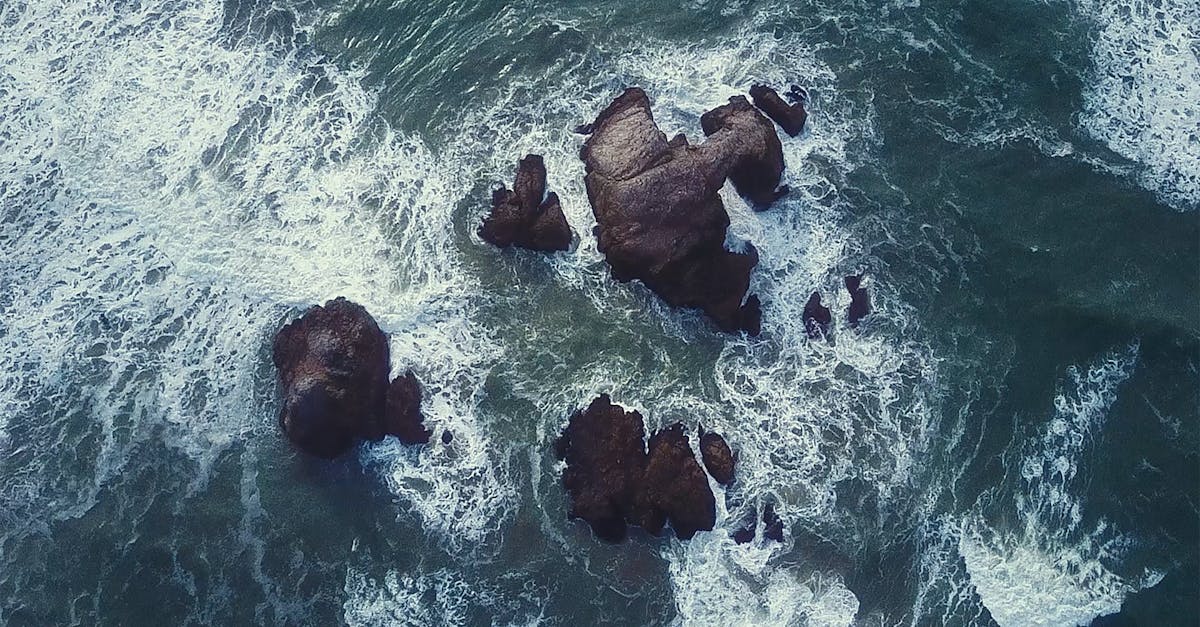 découvrez l'univers fascinant des légendes du surf, des riders emblématiques qui ont marqué l'histoire des vagues. plongez dans leurs récits inspirants, leurs techniques uniques et leur passion pour les océans.