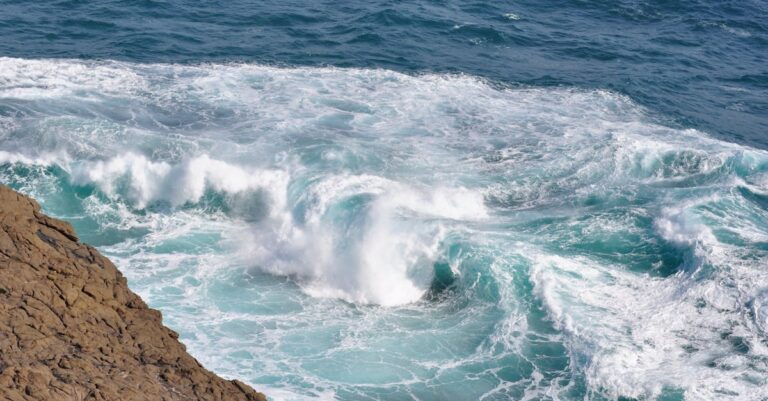 découvrez l'univers captivant des 'surf legends', une plongée dans l'histoire des icônes du surf qui ont façonné ce sport. explorez leurs exploits, leur passion pour les vagues et l'impact qu'ils ont eu sur la culture surf à travers les décennies.