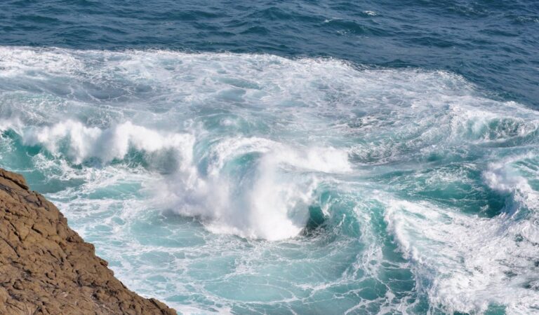Les légendes du surf : récits et exploits des plus grands riders