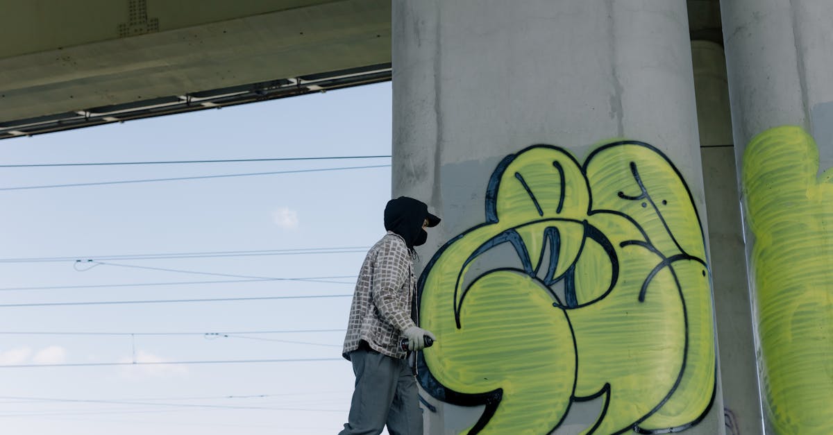 découvrez les implications du vandalisme, ses causes et ses conséquences sur les communautés. explorez les différents types de vandalismes et les initiatives pour lutter contre ce phénomène sociétal.