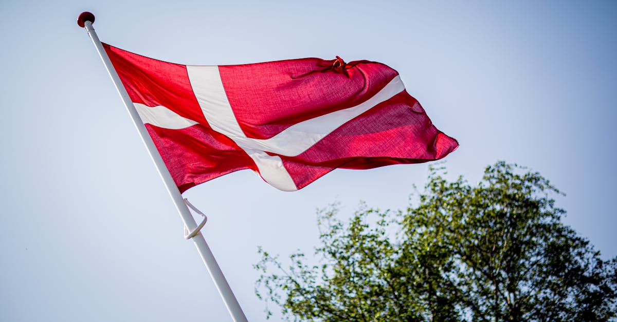 découvrez copenhague, la magnifique capitale du danemark, célèbre pour son architecture emblématique, ses canaux pittoresques et son ambiance conviviale. explorez les attractions incontournables, la culture vibrante et la gastronomie locale dans cette ville dynamique alliant histoire et modernité.