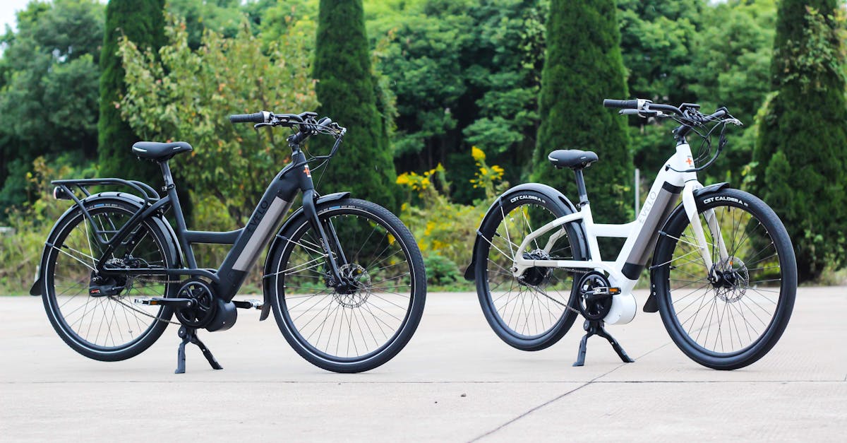 découvrez les vélos de montagne électriques : alliez aventure et performance sur tous les terrains. profitez d'une assistance électrique pour grimper les pentes et explorer de nouveaux horizons avec facilité.