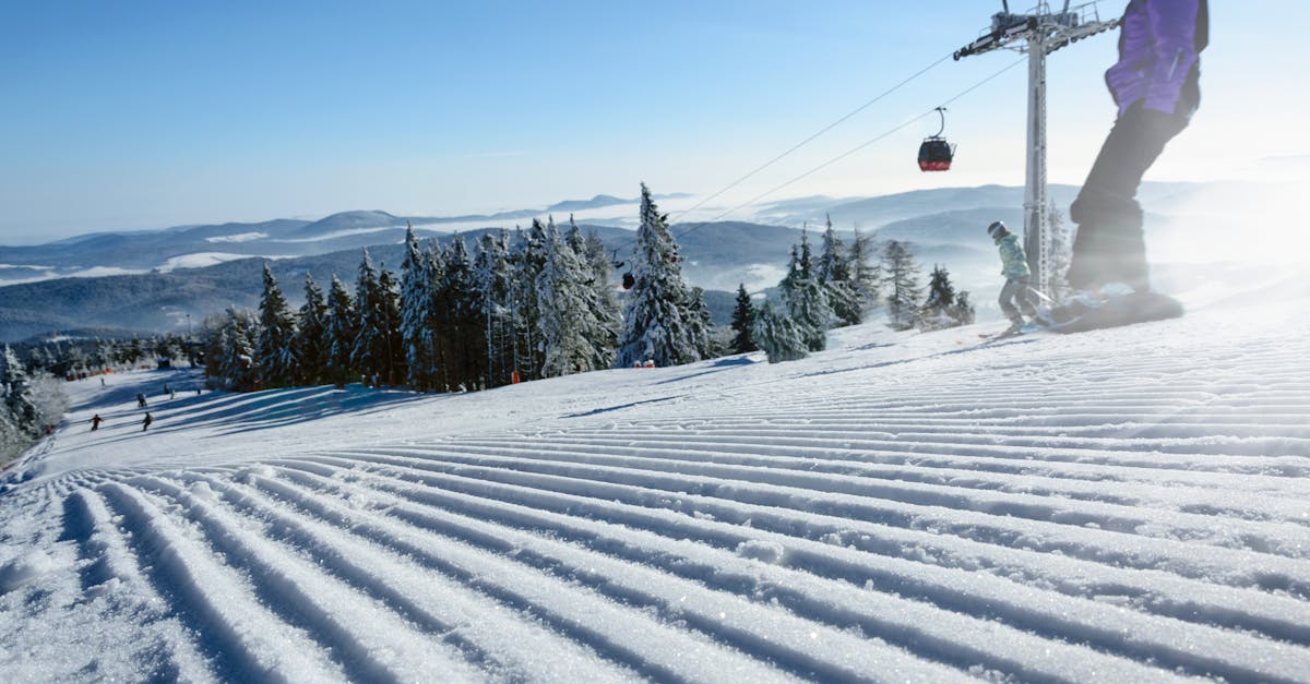 découvrez l'univers passionnant du ski, des meilleures stations de montagne aux conseils pour débutants. que vous soyez amateur de pistes damées ou de hors-piste, plongez dans des conseils pratiques, des astuces de sécurité et les dernières tendances en matière d'équipement pour profiter pleinement de votre aventure sur les pistes.